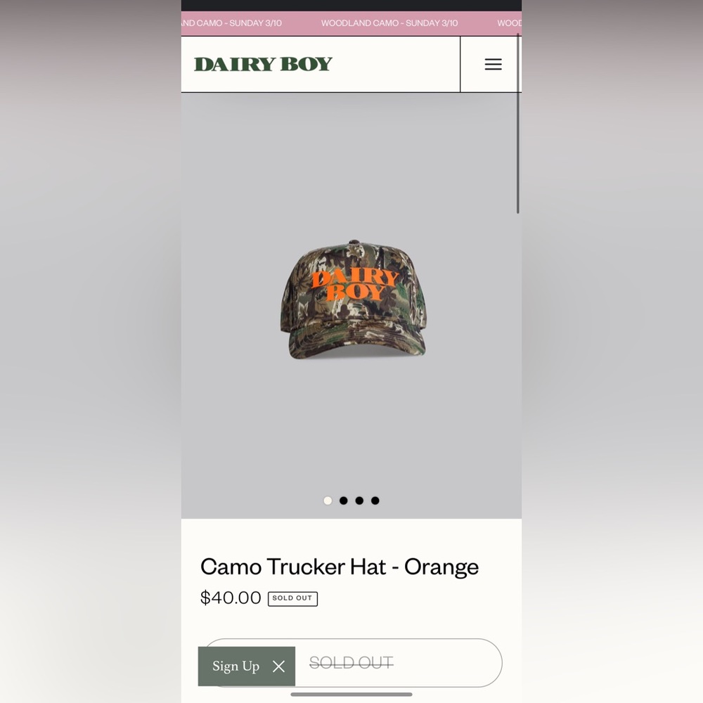 Dairy boy hat new never used